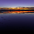 July 2020 Bosque del Apache Sunrise